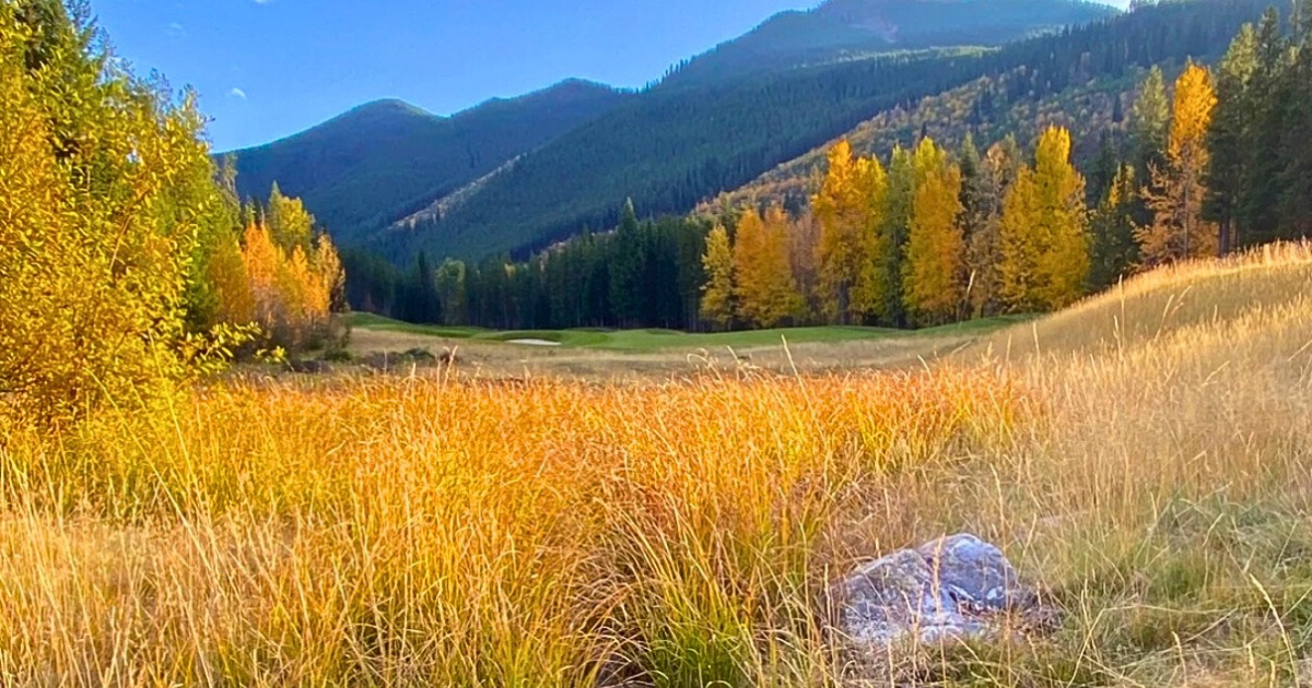 Real Estate Invermere, Columbia Valley, Radium Real Estate, Fairmont Real Estate, Market Update Columbia Valley, Real Estate Statistics, Real Estate Market, 